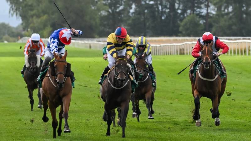 EQUITY LAW gets up on the line to win at Thirsk
