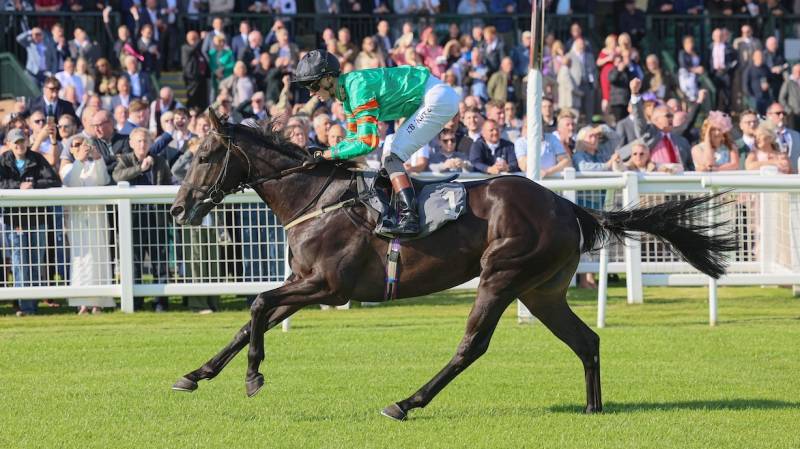 BYE LAW gets off the mark in fine style at Ayr