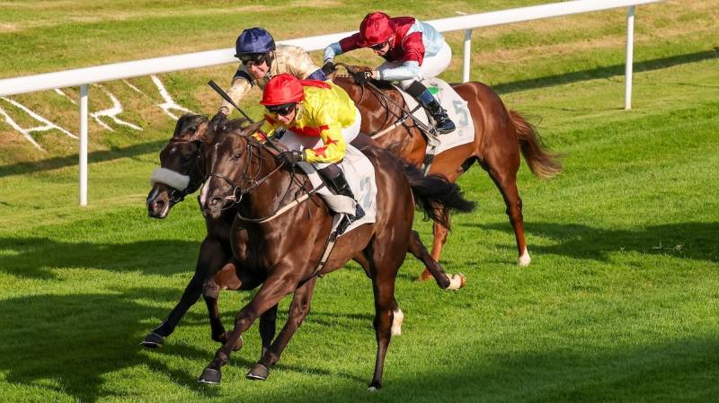 GO VINCE GO was another 2yo winner for the team