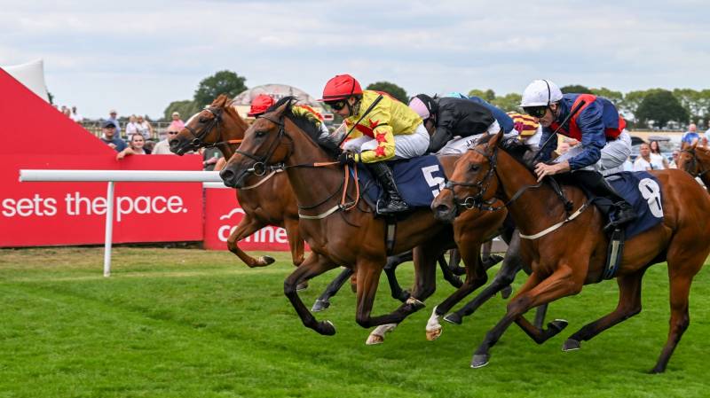 RUM THERAPY gets her nose in front at Beverley