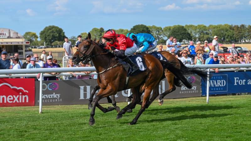 SUNNY ORANGE wins at Beverley under Duran Fentiman