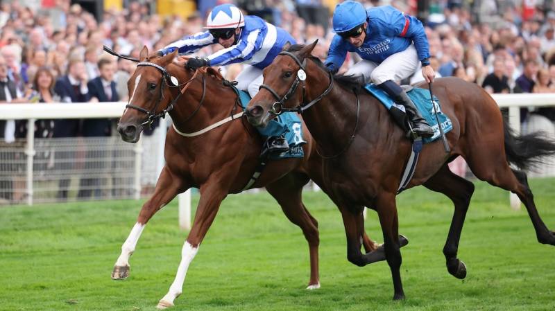 REVIVAL POWER wins the Listed Julia Graves Rose Stakes at York