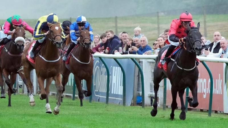 BYE LAW defies a penalty to win at Redcar