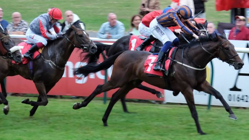 DOUBLE PARKED makes all to win at Redcar for a third time