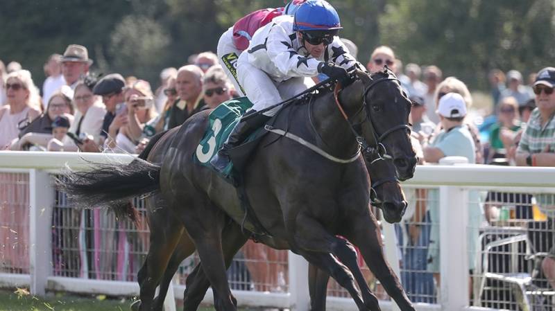 ANAISA wins the Champion Two Year Old Trophy at Ripon
