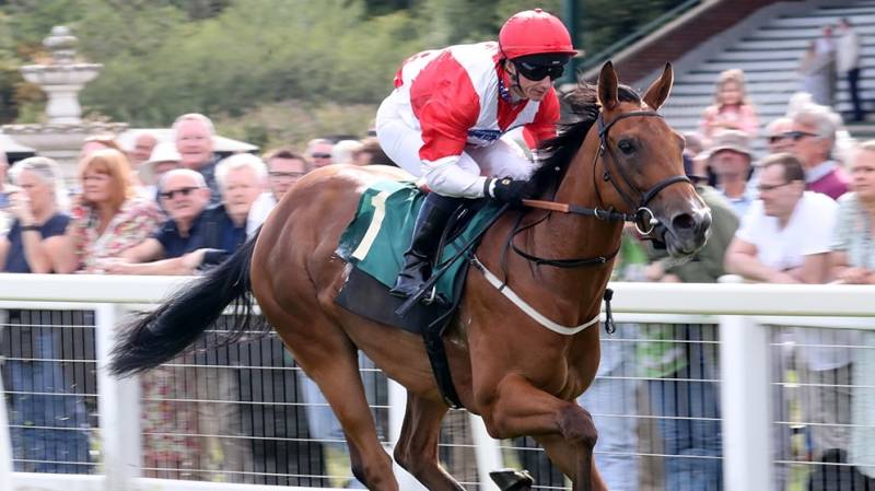 HANNEY GIRL makes all to win at Ripon
