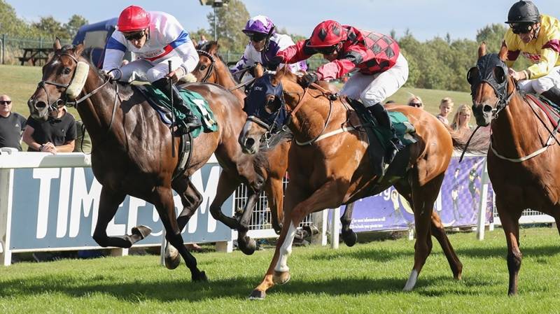 THATS MY BOY LUKE gets his head down on the line to win at Ripon