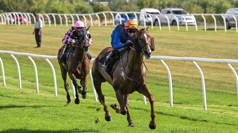 BOLLIN NEIL wins well under David Allan at Catterick
