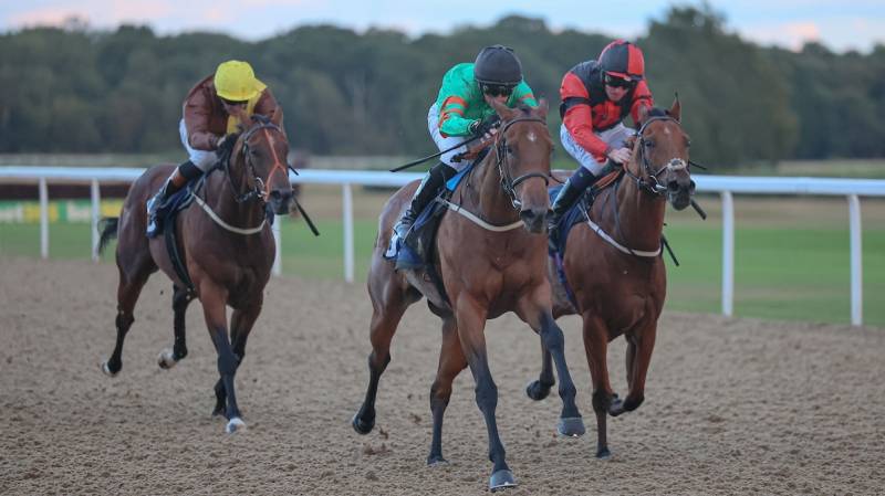 DOROTHY MAY breaks her maiden in fine style at Newcastle
