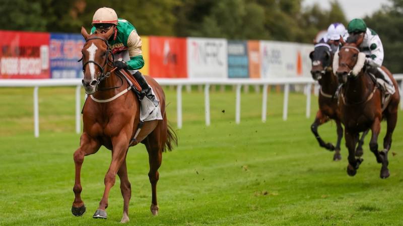AMAYRETTO makes all to win at Hamilton