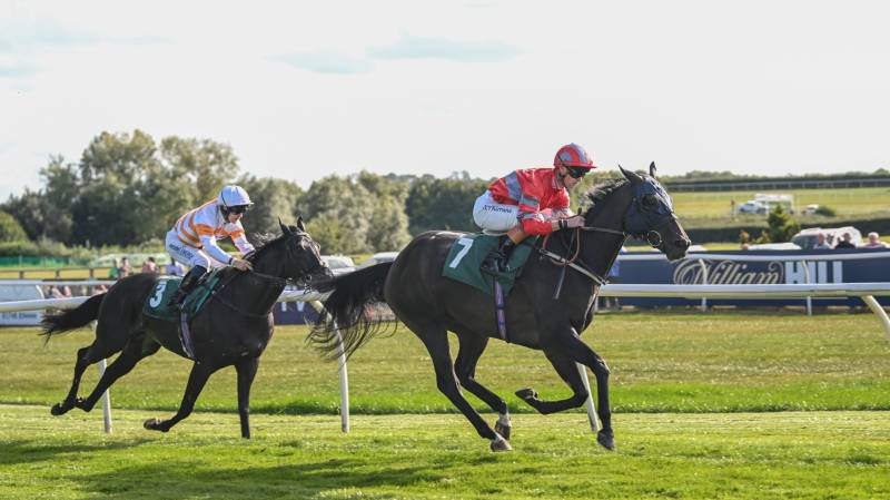DREAM DEAL brings up our 100th winner on the flat this year