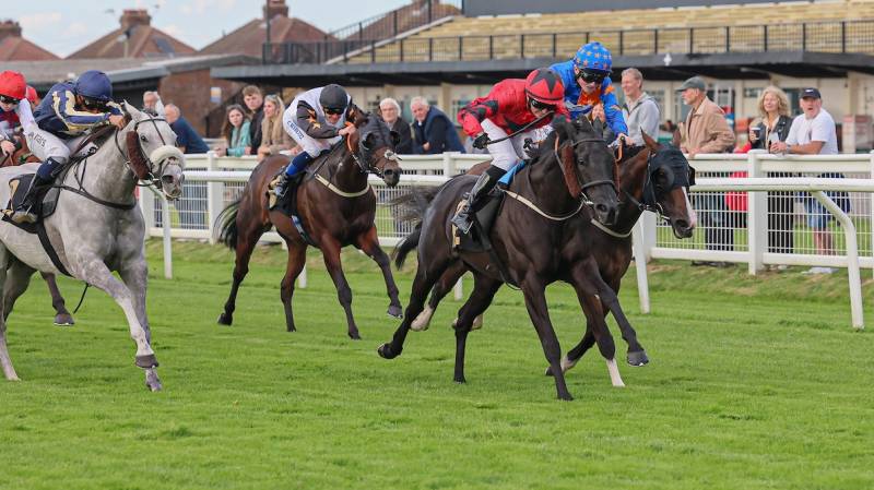 CANARIA QUEEN becomes the 5th winner of the day