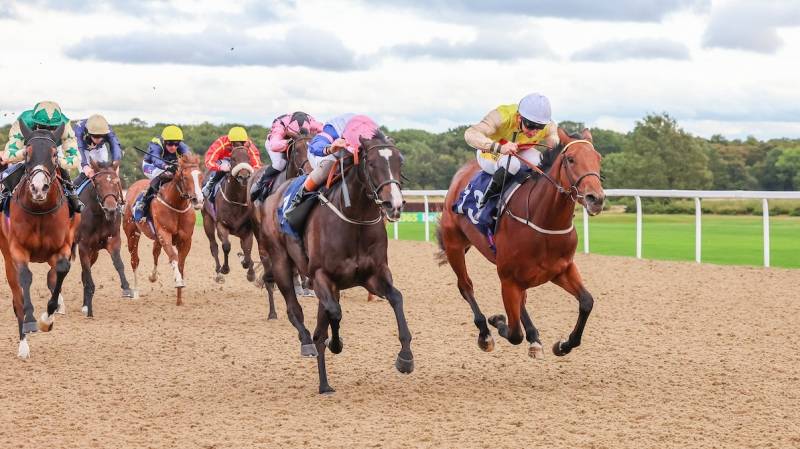 STORM ESME wins on her racecourse debut at Newcastle