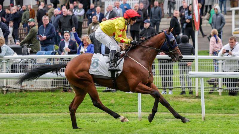STIRRUP CUP wins in impressive style at Hamilton