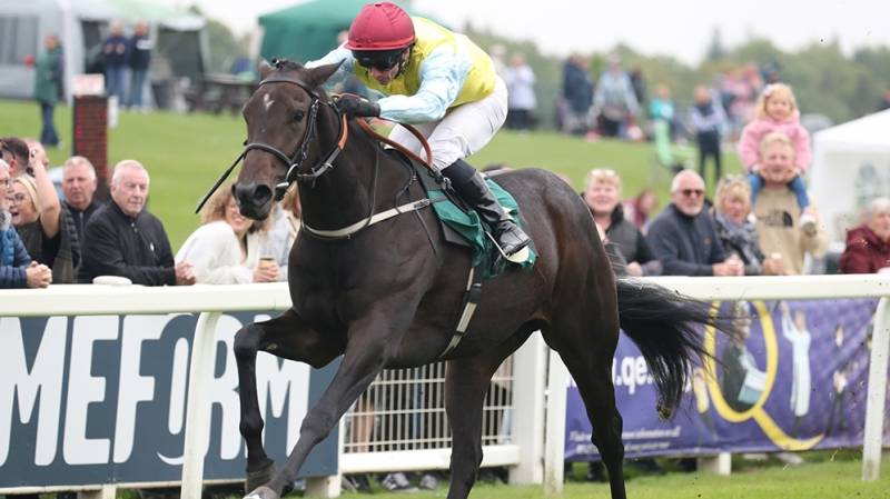 BEARIN UP digs deep to win at Ripon