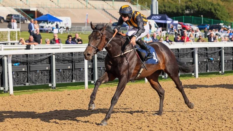 CANDONOMORE wins the opener at Newcastle