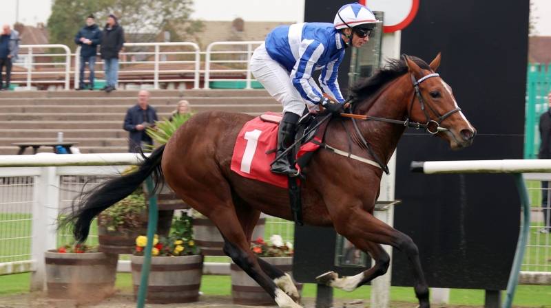 BEYOND THE BAR makes all to win at Redcar
