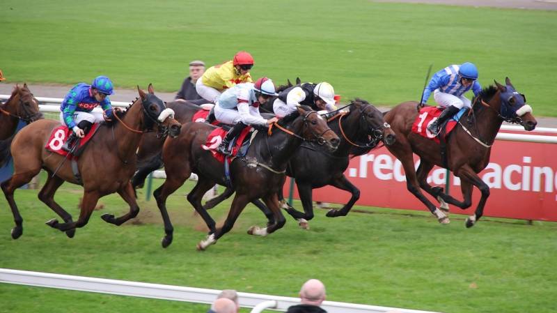 FLAMBOROUGH HEAD keeps on well to win at Redcar
