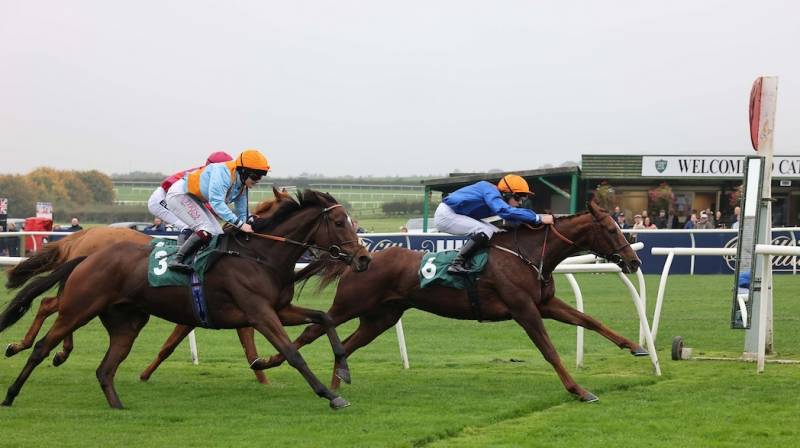 BOLLIN NEIL wins again at Catterick