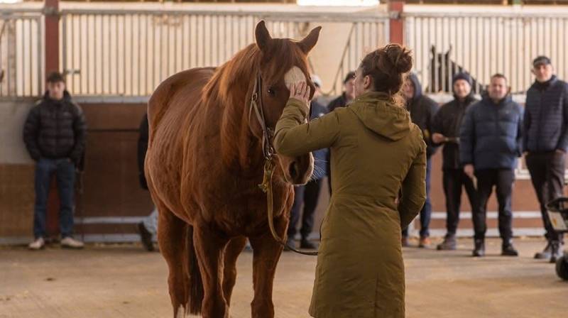 REALITY PARTNERSHIPS OPEN DAY