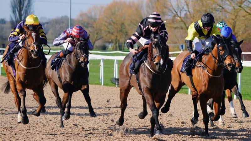 MARRY THE NIGHT battles on strongly to win at Southwell
