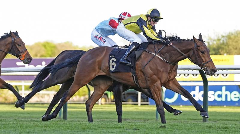 EVELYN'S PHOENIX battles back gamely to win at Nottingham