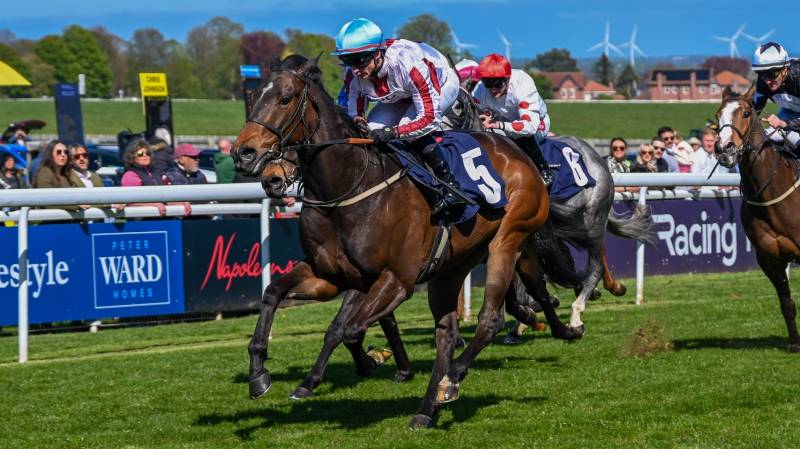 I'M NEXT wins at Beverley under David Allan