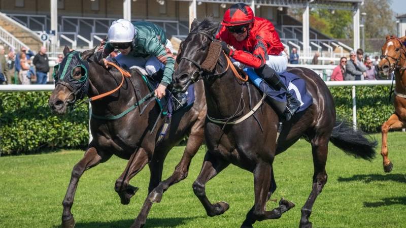 CANARIA QUEEN wins at Doncaster under Duran Fentiman