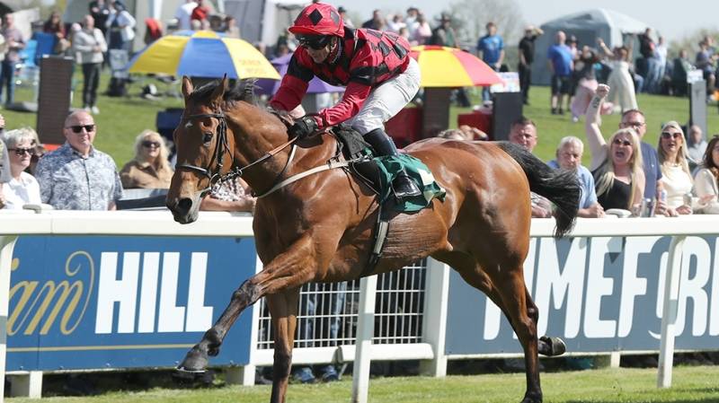 TREASURE ISLANDS makes all to win at Ripon