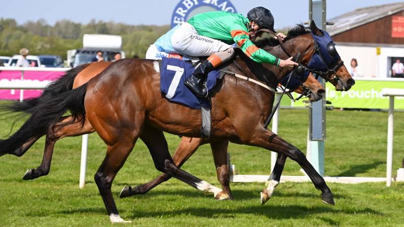 HOOD WINK dead-heats at Wetherby