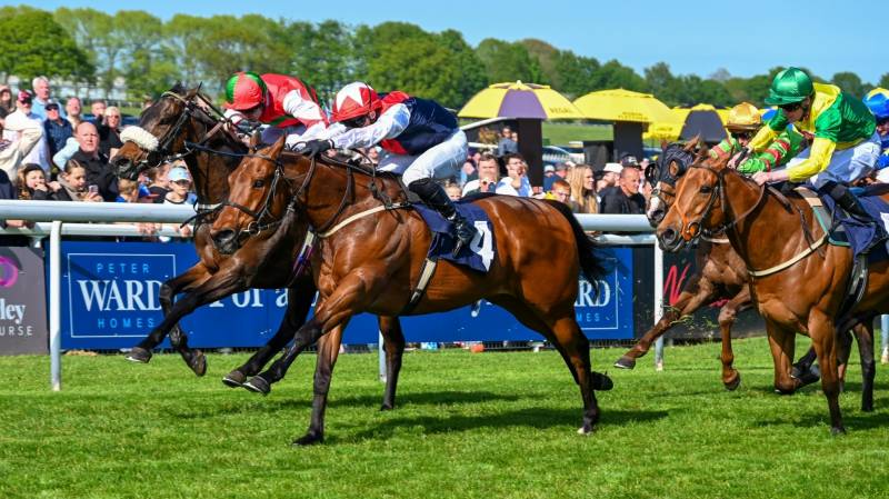 COPPER KNIGHT lands his 19th career success