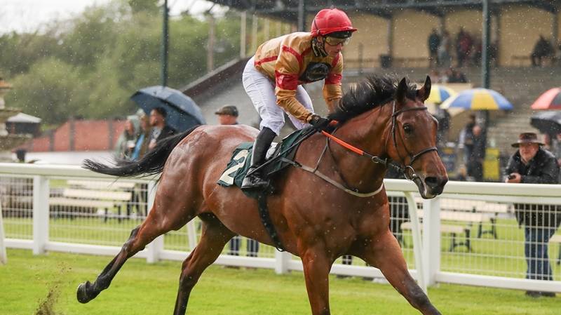 RED SPELLS DANGER was an Impressive winner at Ripon