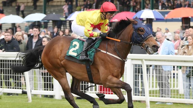 VINCE L'AMOUR wins well at Ripon