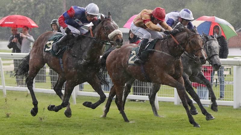 U SURE DO brings up a treble at Ripon