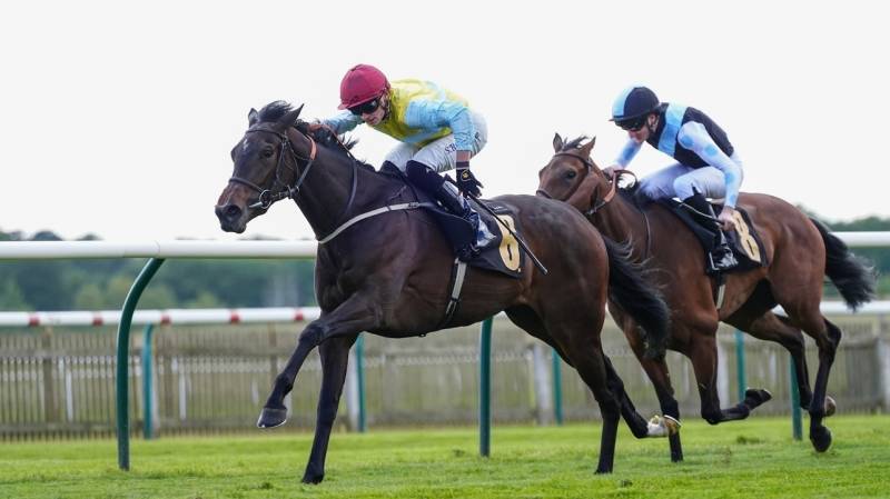 BEARIN UP keeps on well to win at Newmarket