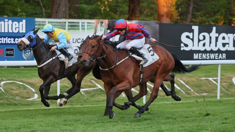 PERFIDIA wins by a short head at Hamilton