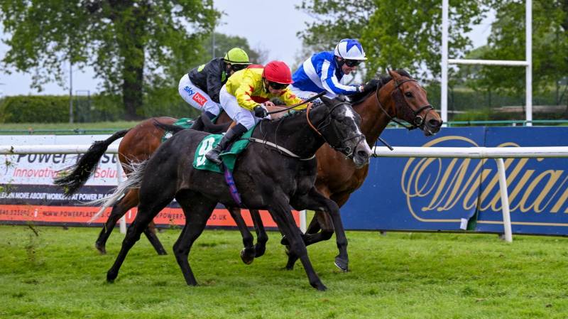 BRIGHTON BOY shows a great attitude to win at Thirsk