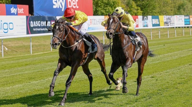 MIND THOSE STEPS shows a great attitude to win at Hamilton