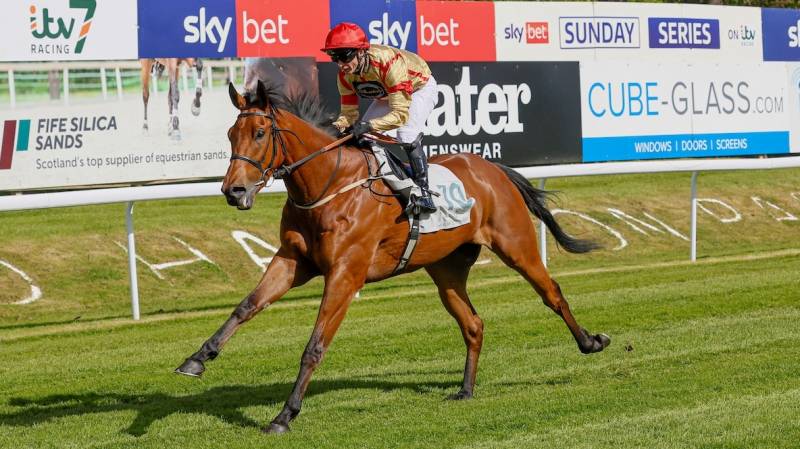 RED SPELLS DANGER wins impressively at Hamilton