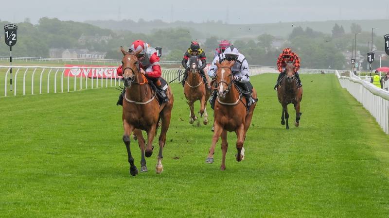 CAILIN AINE becomes our third 2yo winner of the year