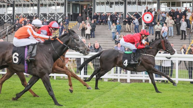 CANARIA QUEEN finishes strongly to win at Musselburgh