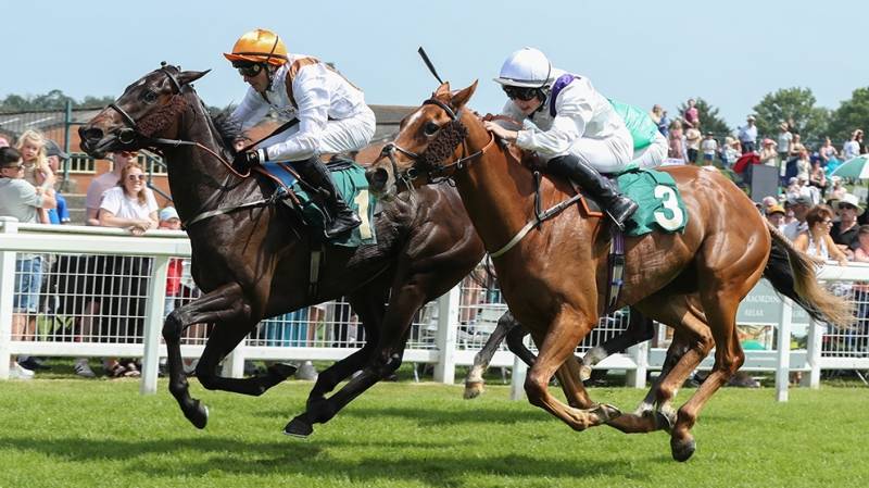 VEGA'S VIRTUE gets off the mark at Ripon under Duran Fentiman
