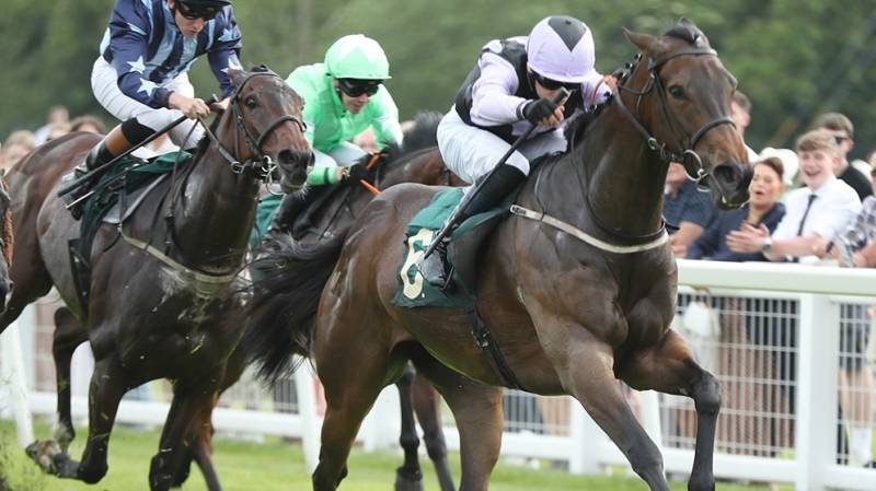 MARAJITO knuckles down determinedly to win at Ripon