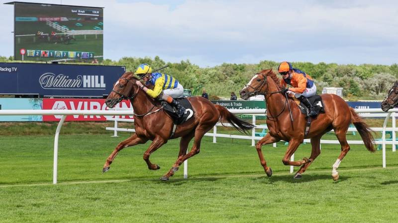POETS DAWN wins gamely at Musselburgh under Sean Kirrane