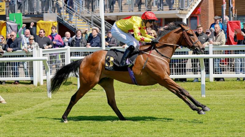 STIRRUP CUP comes from last to first to win at Carlisle