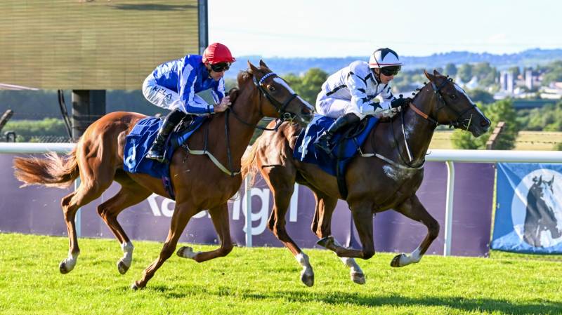 FERN CLYDE battles back gamely to win at Pontefract