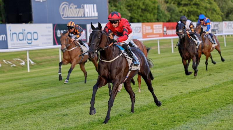 CANARIA QUEEN pulls clear to win at Hamilton