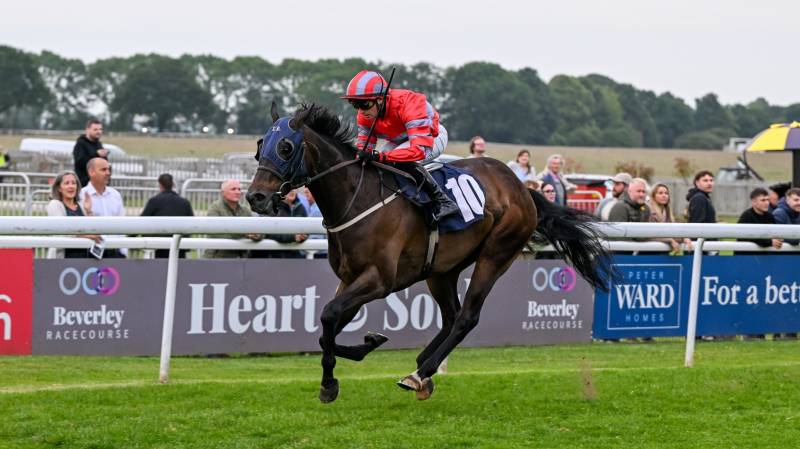 DREAM DEAL pulls clear to win at Beverley