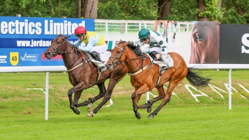 BEARIN UP makes all to win at Hamilton under David Allan