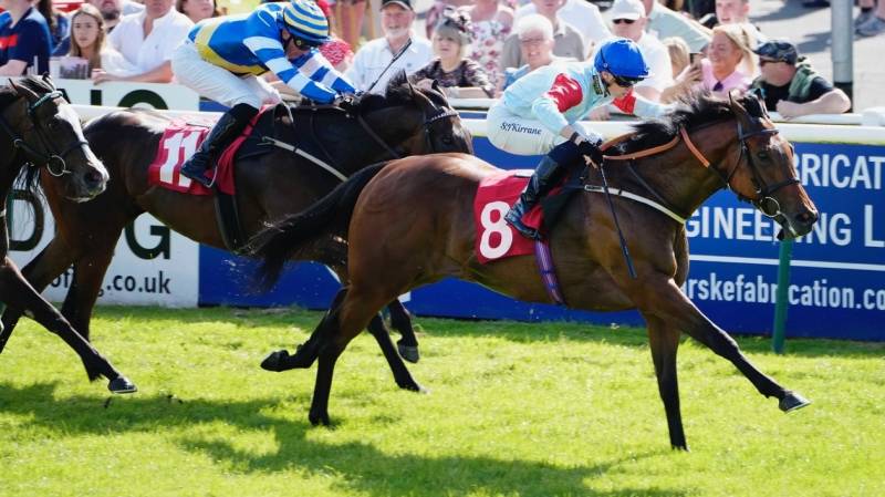 HARES BREDTH pulls clear to win at Redcar under Sean Kirrane